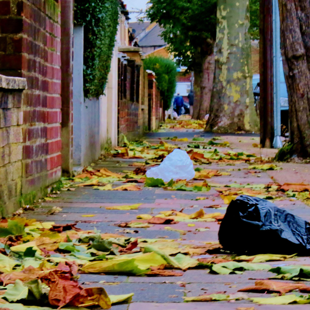 rubbish on a neighbourhood sidewalk