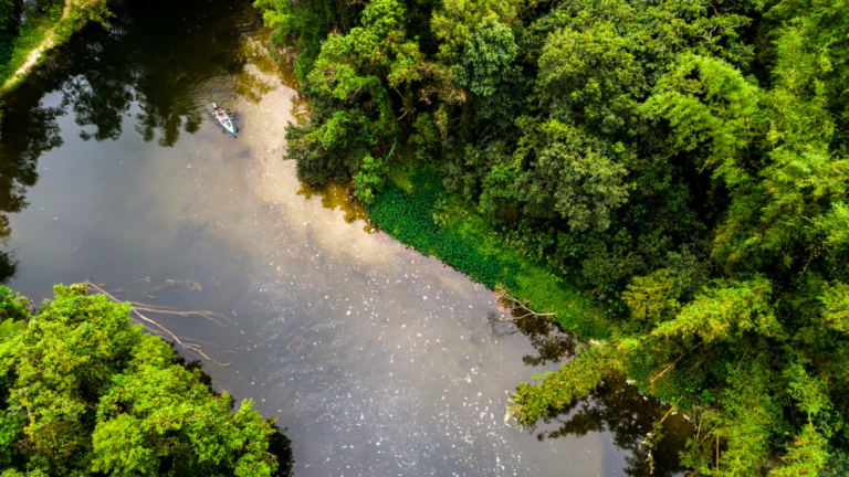 River in South America