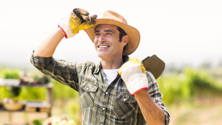 Farm Stays as Budget Accommodation: New Zealand, Australia, and Beyond