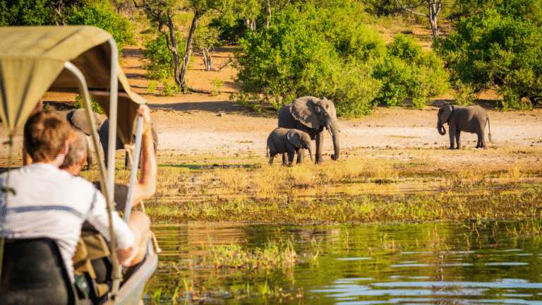 Kenya Safari on a Shoestring: How to Do It for Under $100/Day