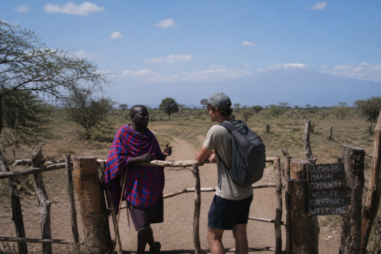 Free Safari Experiences: Game Reserves Without the Lodge Price Tag